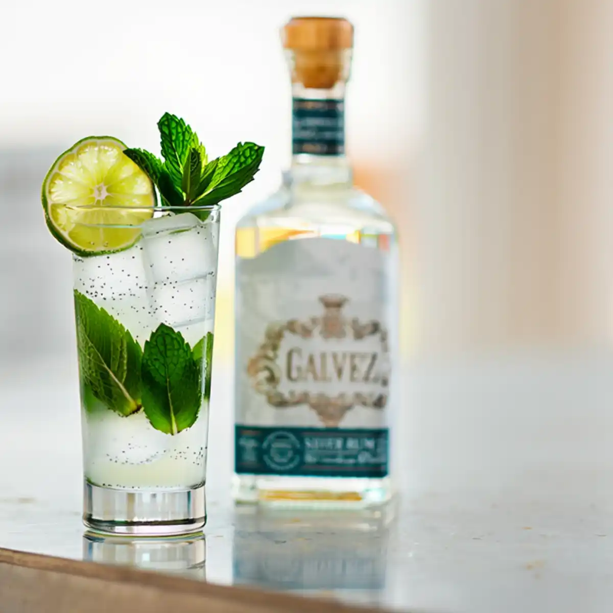 Mojito With Galvez Silver Rum