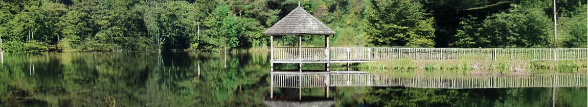 Southern Charm and Spirits: Discover Jackson, Louisiana - A Hidden Gem of History, Rum, and Natural Beauty 4 Galvez Rum